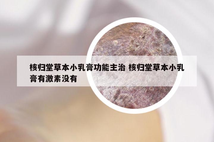 核归堂草本小乳膏功能主治 核归堂草本小乳膏有激素没有