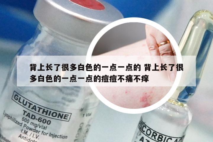 背上长了很多白色的一点一点的 背上长了很多白色的一点一点的痘痘不痛不痒
