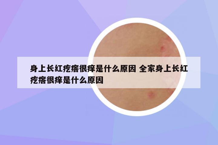 身上长红疙瘩很痒是什么原因 全家身上长红疙瘩很痒是什么原因