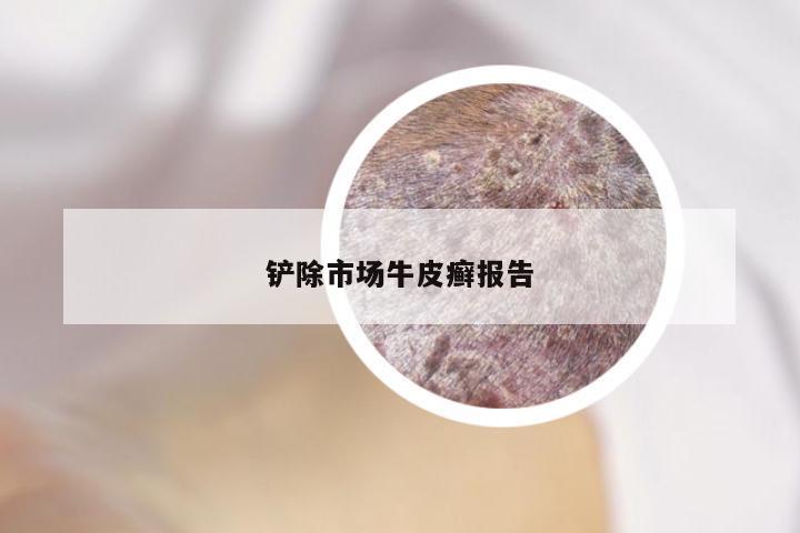 铲除市场牛皮癣报告