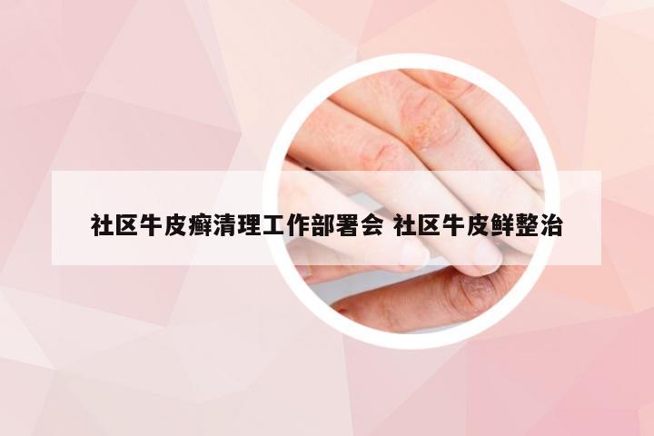 社区牛皮癣清理工作部署会 社区牛皮鲜整治