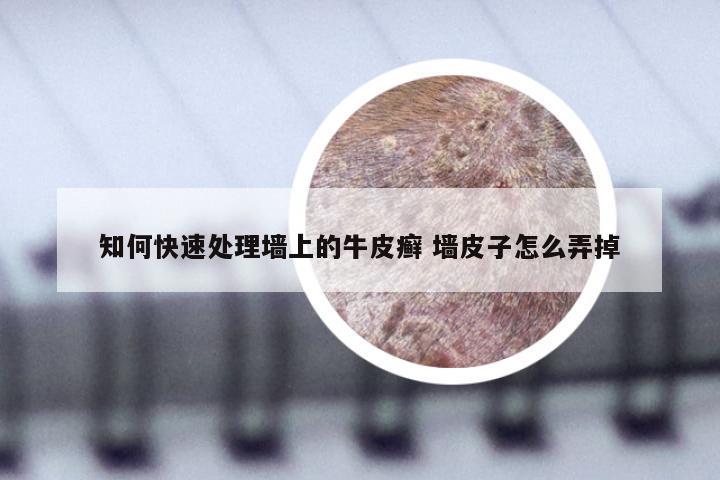 知何快速处理墙上的牛皮癣 墙皮子怎么弄掉